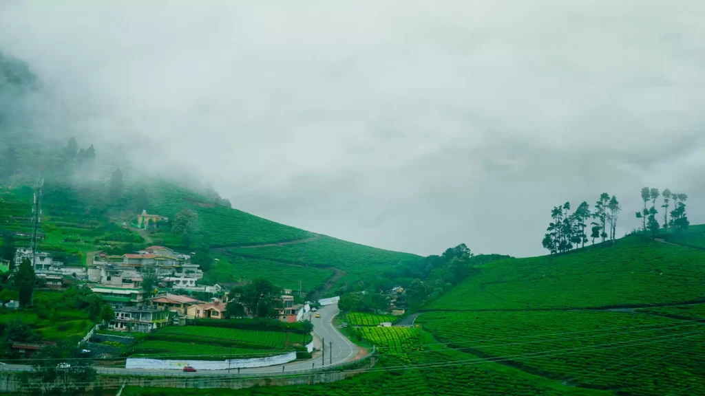 Ooty: The Queen of Hill Stations